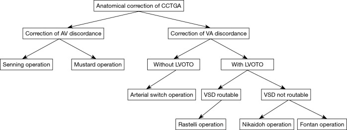 Double-switch repair for congenitally corrected transposition